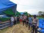 Budidaya ubur-ubur tanpa izin