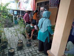 Babinsa Bimbing Masyarakat Bercocok Tanam Pada Media Polybag