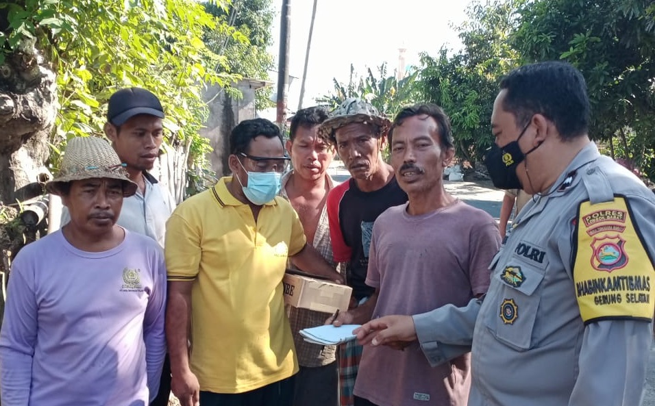 Gerung Zona Merah PMK, 970 Ekor Ternak Terjangkit atau Terinfeksi Virus PMK
