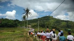 Pengamanan Tradisi Nimbung dan Mejangu di Mareje Masih Berlanjut