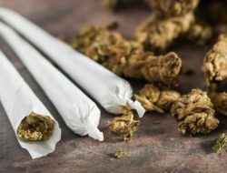 Jajakan Ganja di Kompleks Sekolah, Polres Tapanuli Tengah Tangkap Seorang Pria