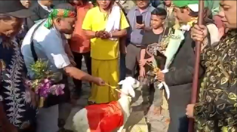 Kasus Pernikahan Manusia dengan Kambing di Gresik, Polres Gresik Tahan Empat Tersangka