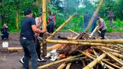 Petugas Gabungan Grebek Judi Sabung Ayam di Kawangkoan Minahasa