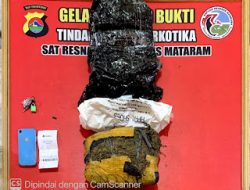 Polisi Sita 1 Kg Ganja di Mataram, Hasil Tangkapan Terhadap Enam Orang di Karang Baru Kota Mataram