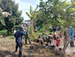 Babinsa Membaur Bersama Masyarakat Dalam Lomba Tangkap Lele, Peringati HUT Kemerdekaan RI Ke-77 Tahun