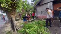 Pemdes Jagaraga Indah bersama TNI-Polri dan Warga Gotong Royong Lakukan Pemangkasan Pohon