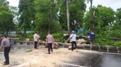 Cuaca Ekstrem, Berikut Dampak Curah hujan yang Sertai Angin Kencang di Gerung