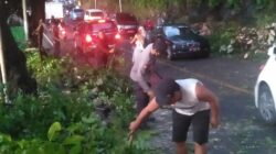 Pohon Tumbang di Jalan Makam Keramat Batulayar, Polisi Lakukan Pembersihan