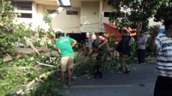Babinsa Ampenan Respon Cepat Laporan Warga Terkait Pohon Tumbang