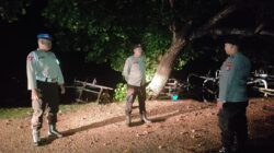 Patroli Kandang Kumpul Polsek Lembar, Antisipasi Pencurian Ternak