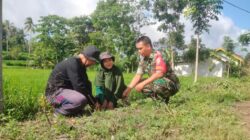 Babinsa Mareje: Menanam Pohon Bagian Dari Menanam Kebaikan