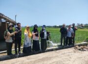 BSIP NTB Tinjau Pemanfaatan Bantuan Pompa di Subak Gondang, Babinsa Gondang Berikan Pendampingan